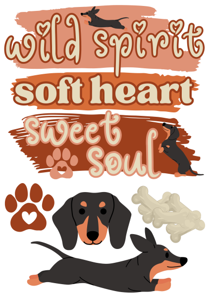 Bügelbild wild spirit soft heart wild soul